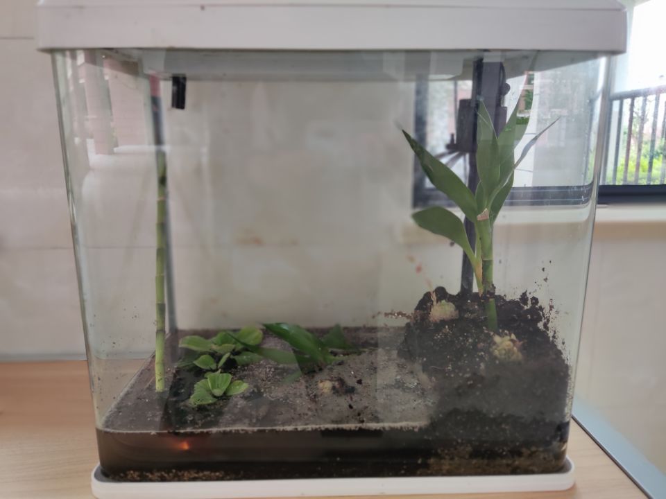 0d43697ffb89b846b721763963397c96