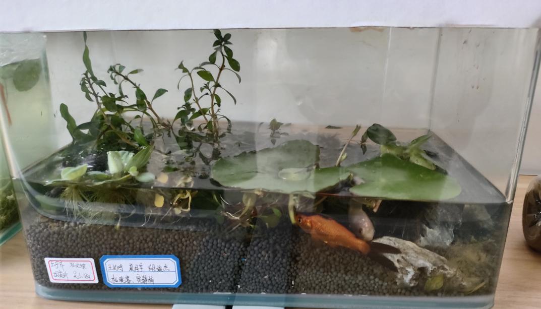 36ea911f18fb5d7d39e3b9636ff5577e