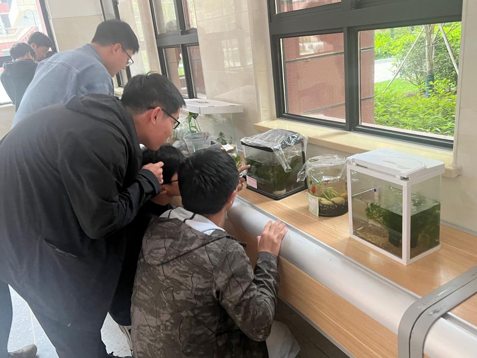 3e00dca82be884570c2cdfff09f98f83