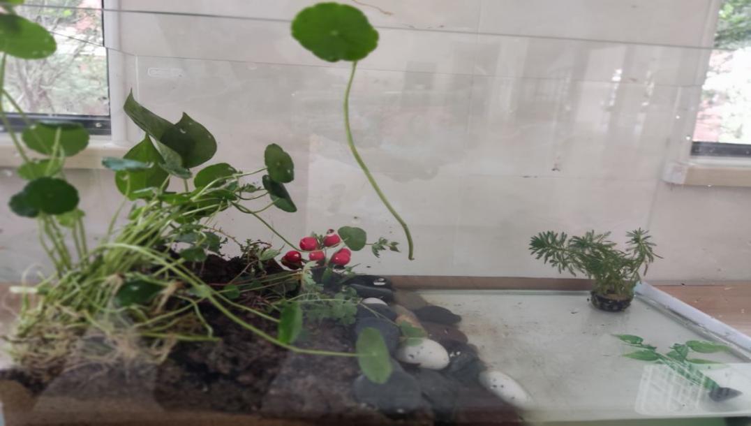 e10da339c5d686d2896379d057ebfeca