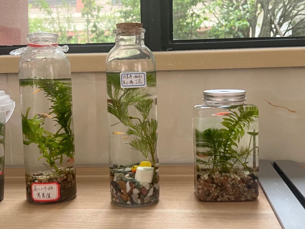 7aefc3d61109f8332ad3e5b485f8a34f