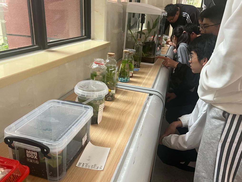 5dbcdb4925dfe47a5f2969e008fb67b7