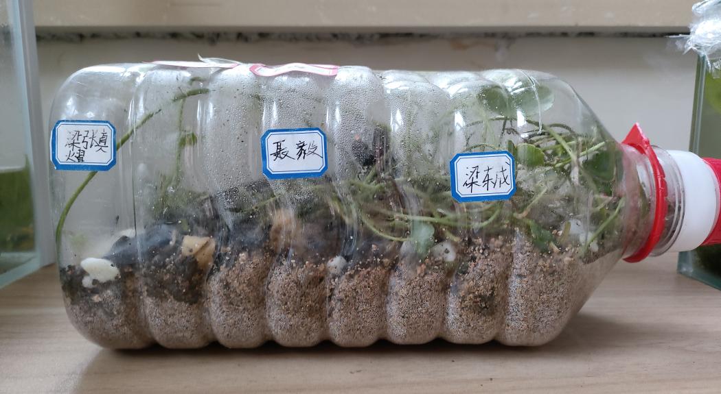 0fab1061dc56d79219fe79b586ee7b97