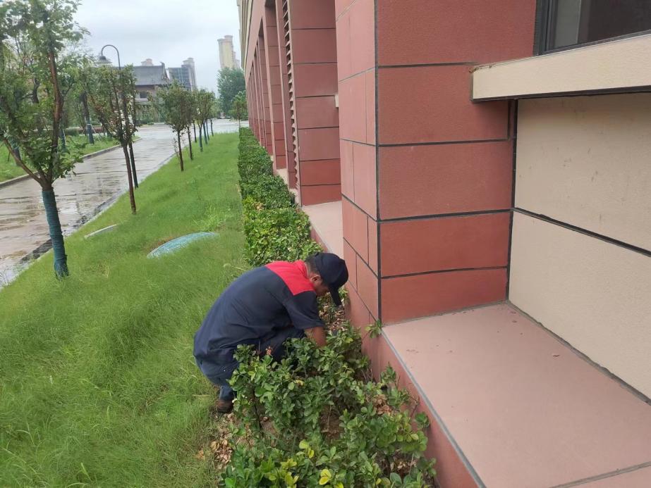 IMG_4700(20230728-165339)