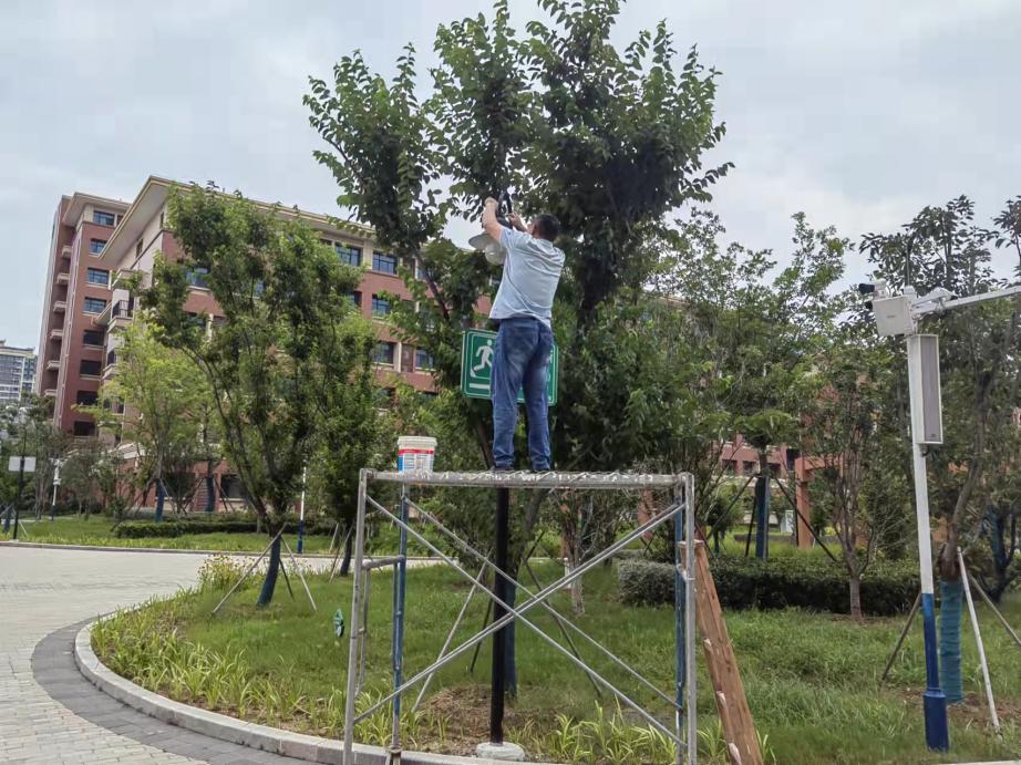 IMG_4701(20230721-142756)