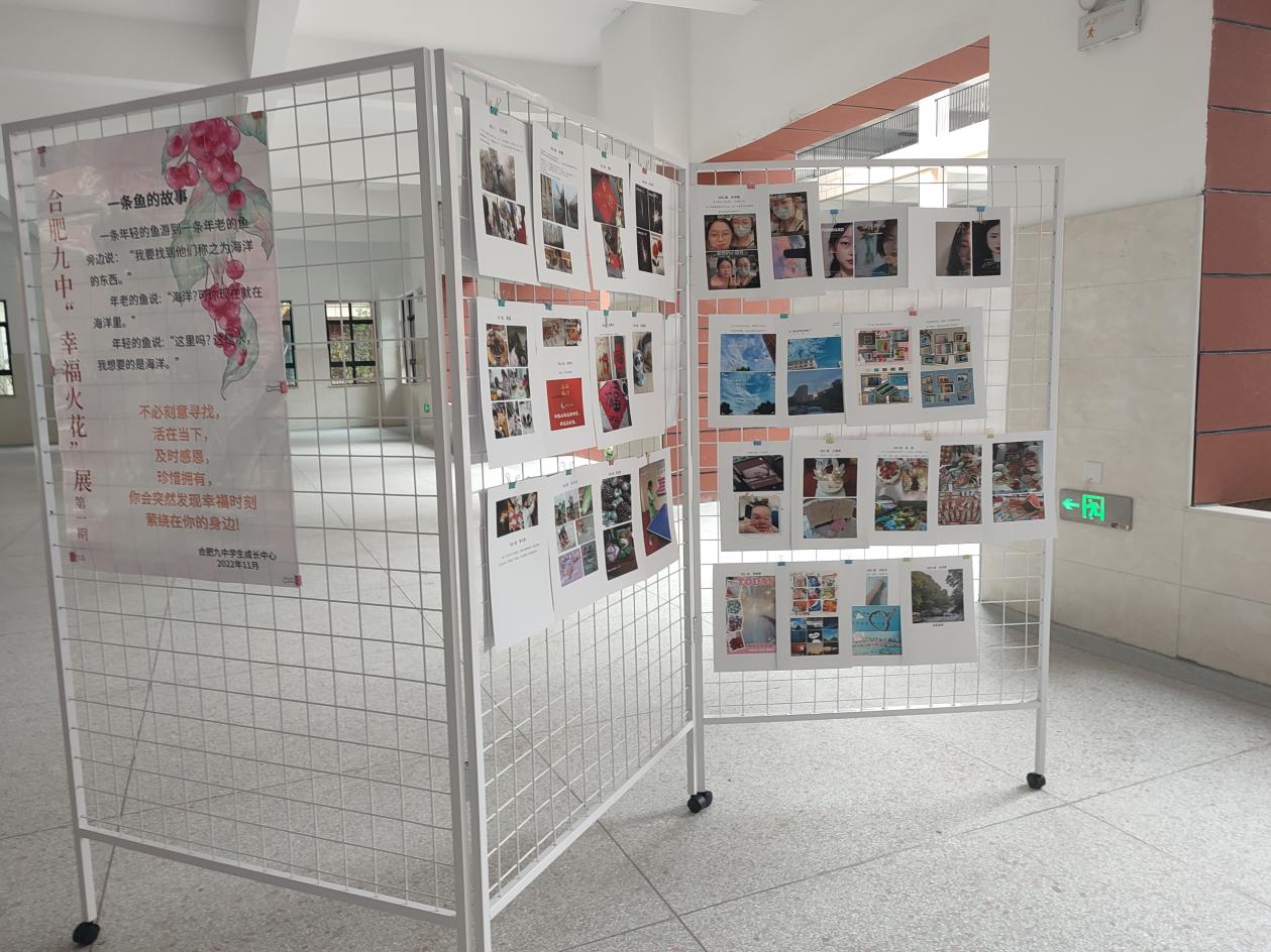 a872aa9f4a2b266ed204ca973d77639